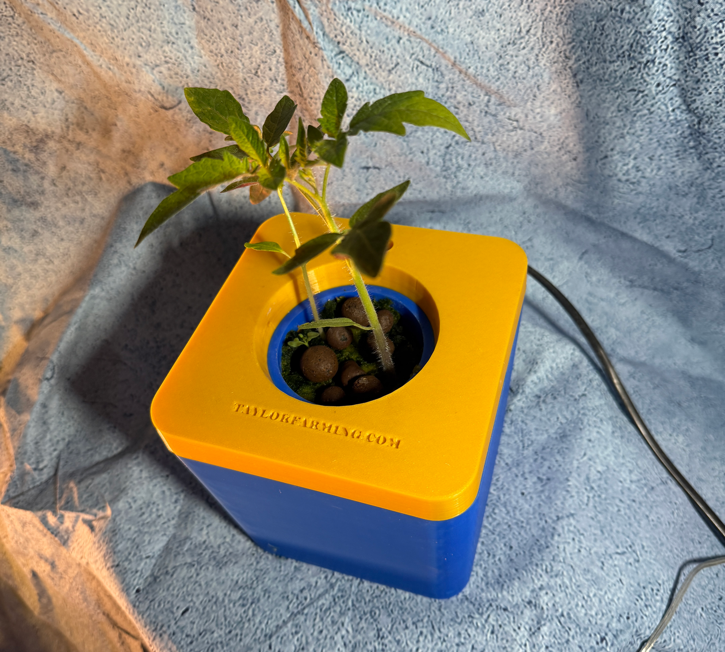 Veggie Pod Home Hydroponic Unit Taylor's Oldtown Farmhouse
