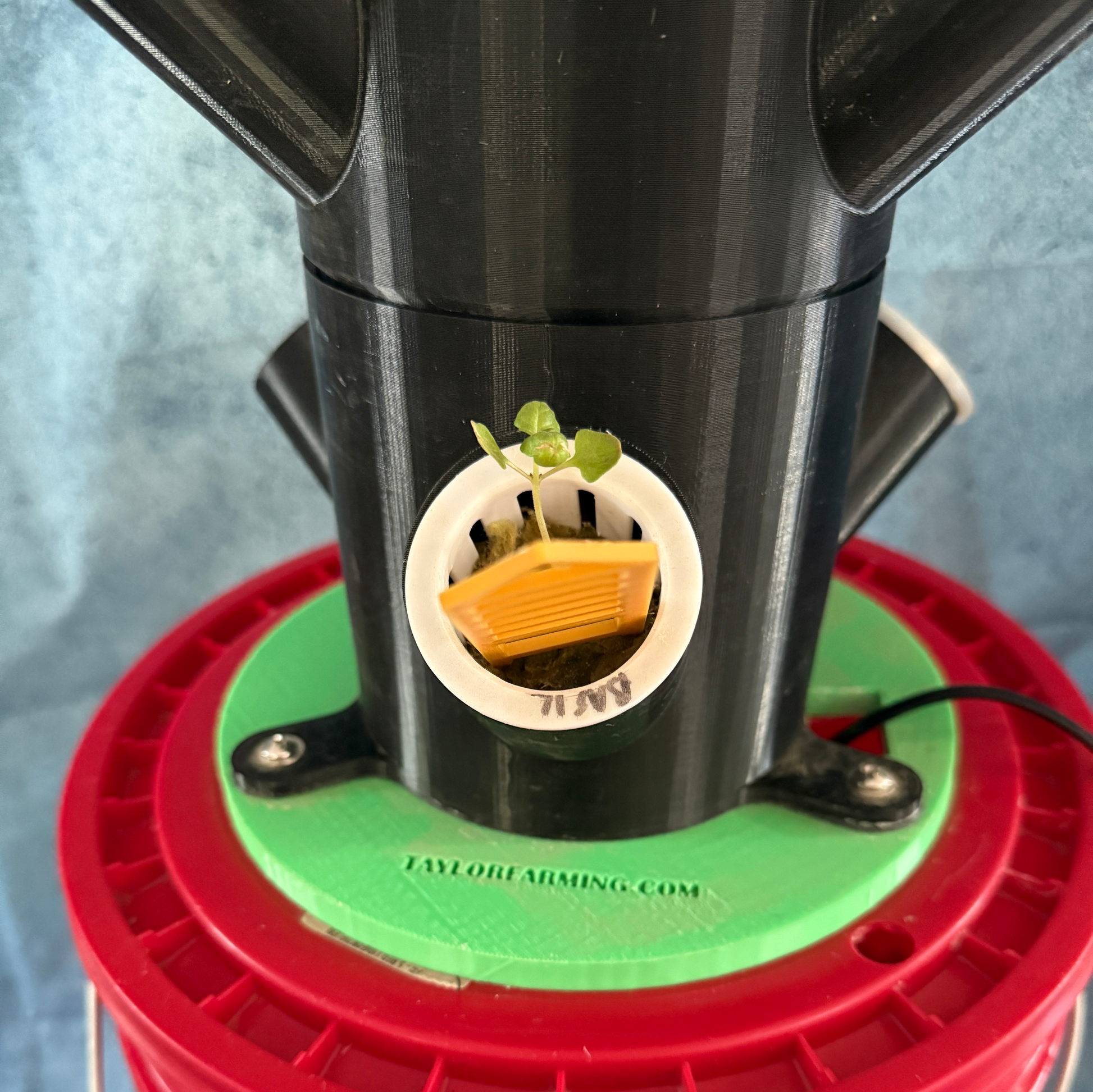Black and red hydroponics unit with a small plant on a blue background